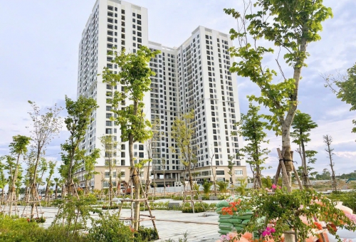 Việt Nam vẫn là thị trường bất động sản ưa thích của nhà đầu tư